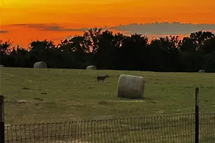 5770 W Hwy 199, Springtown, TX 76082 - Photo 27
