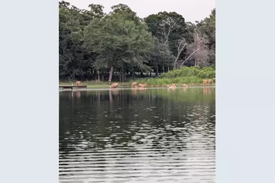 00 Striper Cove, LaRue, TX 75770 - Photo 25
