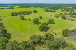 12697 Cr 126, Ranger, TX 76470 - Photo 31