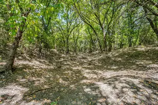 1040 Rays Way, Weatherford, TX 76085 - Photo 19