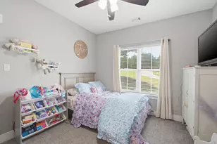 311 Pecan Hollow Cir, Anna, TX 75409 - Photo 13
