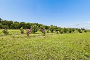 62 Trailridge Dr, Melissa, TX 75454 - Photo 35