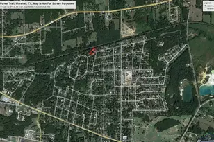 3605 Forest Trail, Marshall, TX 75672 - Photo 21