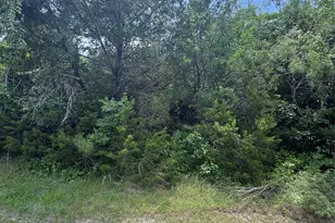 12208 Rolling Oaks Dr, Whitney, TX 76692 - Photo 1
