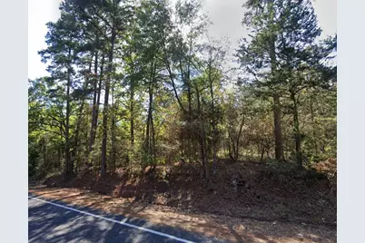 Tbd Fm 852, Winnsboro, TX 75494 - Photo 1