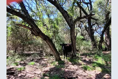 Tbd County Road 1139 575 Acres, Lampasas, TX 76550 - Photo 11