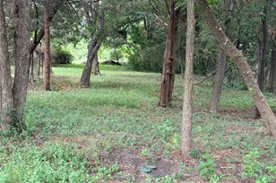 310 College St, Wilmer, TX 75172 - Photo 29