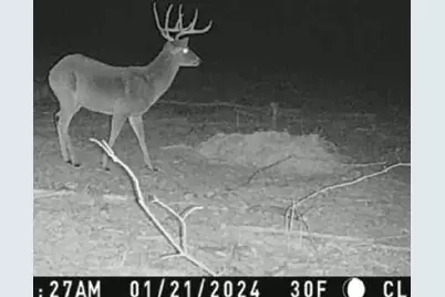 000 Hwy 37 N, Clarksville, TX 75426 - Photo 25