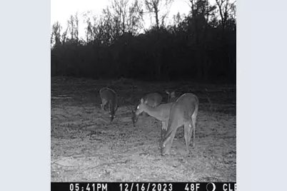 000 Hwy 37 N, Clarksville, TX 75426 - Photo 21