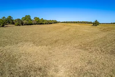 000 Fm 1504, Wills Point, TX 75169 - Photo 7