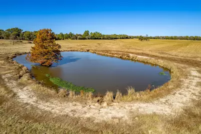 000 Fm 1504, Wills Point, TX 75169 - Photo 9
