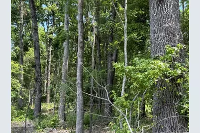 000 Highway 540 Highway, Homer, LA 71040 - Photo 13