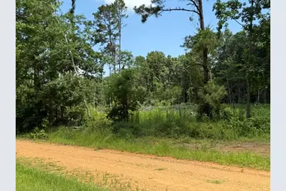 000 Highway 540 Highway, Homer, LA 71040 - Photo 9