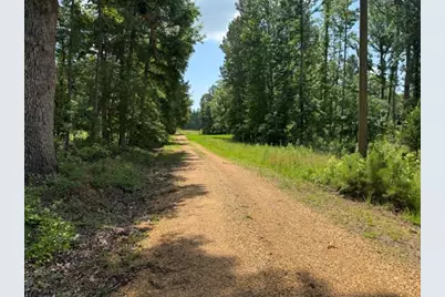 000 Highway 540 Highway, Homer, LA 71040 - Photo 3