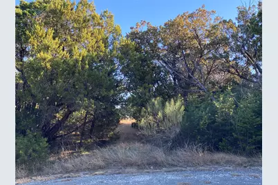1270 Plateau Place, Graford, TX 76449 - Photo 7