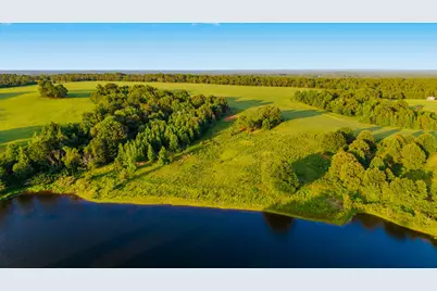 1040 County Road 3590, Winnsboro, TX 75494 - Photo 15