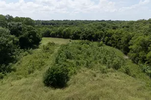 101 Primrose, New Hope, TX 75071 - Photo 7