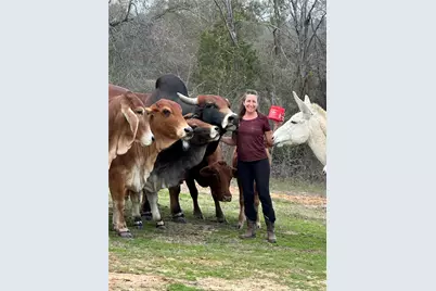 13494 County Road 2919, Eustace, TX 75124 - Photo 35