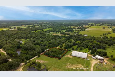 815 County Road 3611, Edgewood, TX 75117 - Photo 9