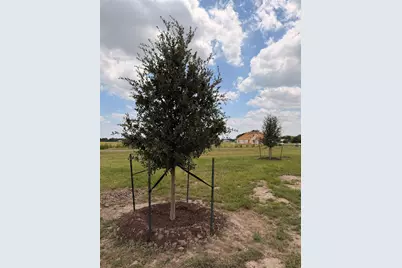 495 High Meadow, Elm Mott, TX 76640 - Photo 21