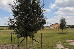 495 High Meadow, Elm Mott, TX 76640 - Photo 21