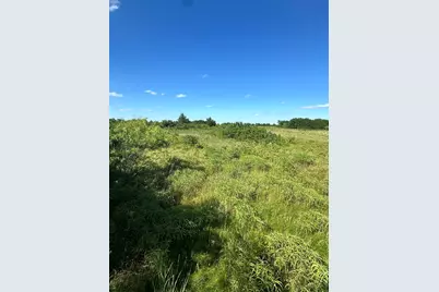 Lot 8 County Road 410, Callisburg, TX 76240 - Photo 5