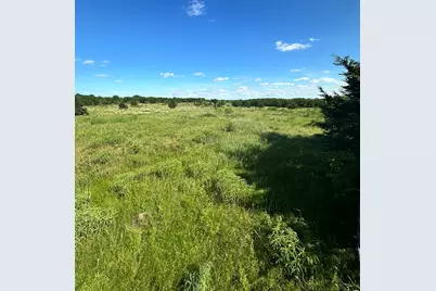 Lot 8 County Road 410, Callisburg, TX 76240 - Photo 7