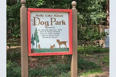Tbd Green Meadow Trail (Lot 140), Holly Lake Ranch, TX 75765 - Photo 25