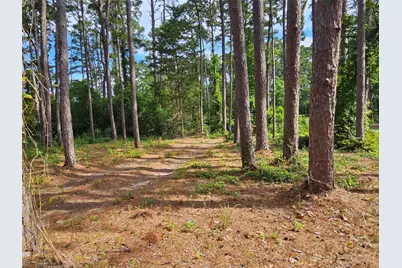 Tbd Green Meadow Trail (Lot 140), Holly Lake Ranch, TX 75765 - Photo 7