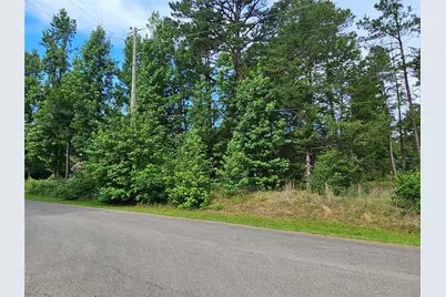 Tbd Green Meadow Trail (Lot 140), Holly Lake Ranch, TX 75765 - Photo 19