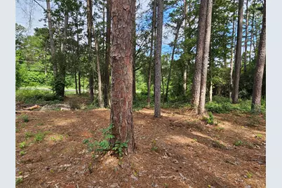 Tbd Green Meadow Trail (Lot 140), Holly Lake Ranch, TX 75765 - Photo 13