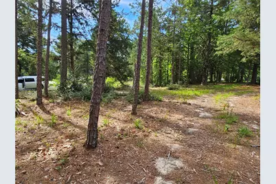 Tbd Green Meadow Trail (Lot 140), Holly Lake Ranch, TX 75765 - Photo 9