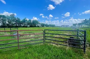 1692 Farm Rd 2653 S, Brashear, TX 75420 - Photo 3