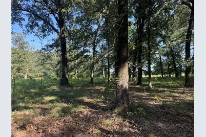 000 Cr 2418, Honey Grove, TX 75446 - Photo 21