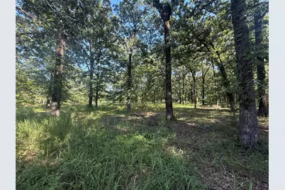 000 Cr 2418, Honey Grove, TX 75446 - Photo 9