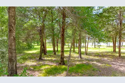 Lot 57-R Shiloh Lane, Streetman, TX 75859 - Photo 9