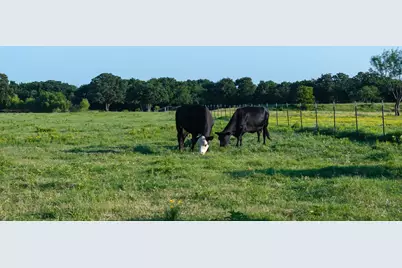360 Pop Noah Road, Collinsville, TX 76233 - Photo 33
