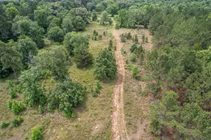 895 Vz Cr 4917, Ben Wheeler, TX 75754 - Photo 5