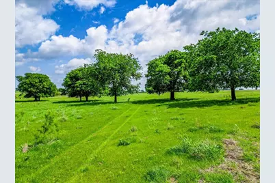 11436 St Hwy 171, Covington, TX 76636 - Photo 7
