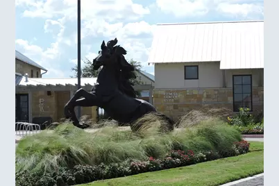 852 Sweet Iron Road, Frisco, TX 75036 - Photo 35