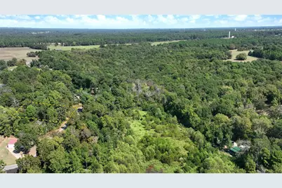 224 County Road 2267, Mineola, TX 75410 - Photo 3