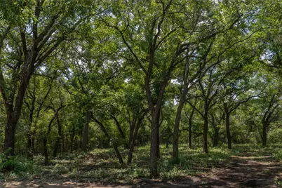 1030 Shiloh Vista Lane, Tolar, TX 76476 - Photo 1