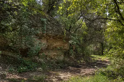 1030 Shiloh Vista Lane, Tolar, TX 76476 - Photo 13