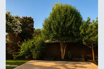4421 Sterling Lane, Plano, TX 75093 - Photo 17