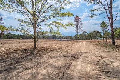 19451 County Road 4307 Road, LaRue, TX 75770 - Photo 7