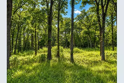 Tbd County Road 1503, Point, TX 75472 - Photo 3