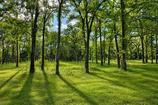 Tbd County Road 1503, Point, TX 75472 - Photo 1