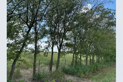 Lot 6 Rutledge Road, Whitewright, TX 75491 - Photo 21