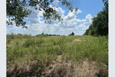 Lot 6 Rutledge Road, Whitewright, TX 75491 - Photo 3