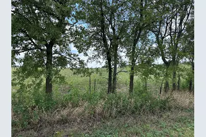 Lot 6 Rutledge Road, Whitewright, TX 75491 - Photo 23